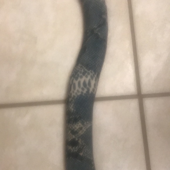 Faux Snake - Picture 6 of 12